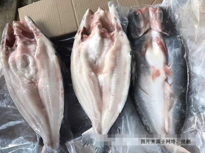 越南冷凍巴沙魚進(jìn)口報(bào)關(guān)資料到深圳鹽田水產(chǎn)品案例